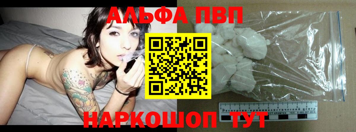 A PVP СК КРИС Великий Новгород