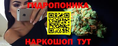 PSILOCYBIN Янаул