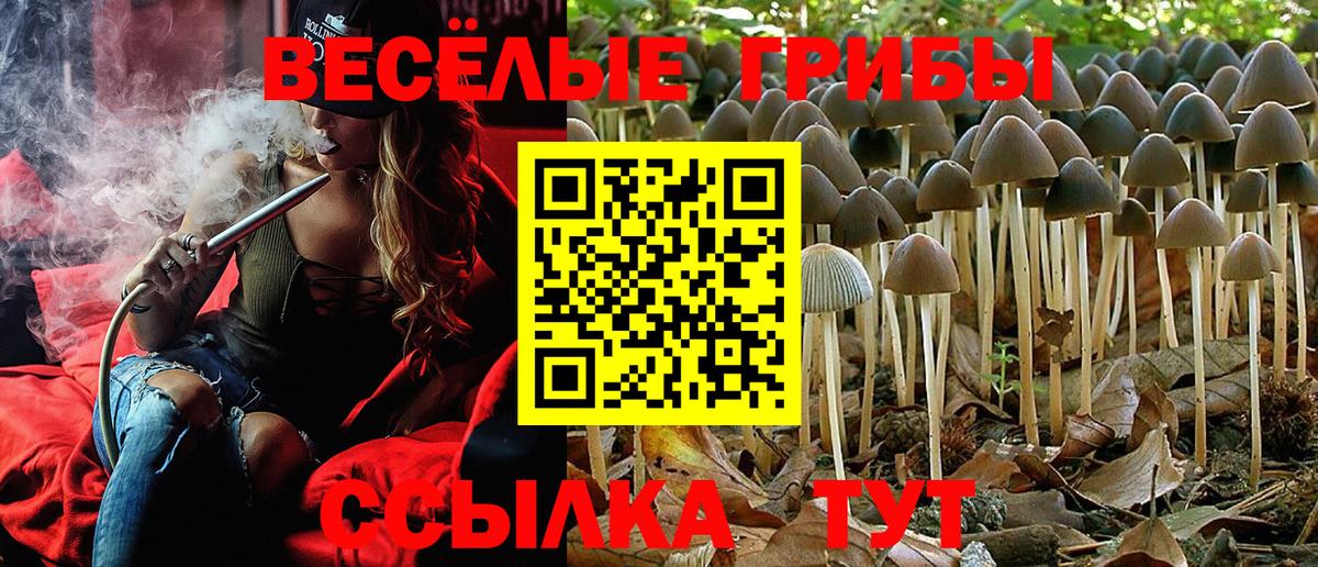 Великий Новгород  Галлюциногенные грибы Psilocybine cubensis  Галлюциногенные грибы ЛСД  Вход с VPN 